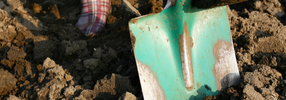 Čo sadiť na jeseň: Príprava záhrady na produktívnu jar