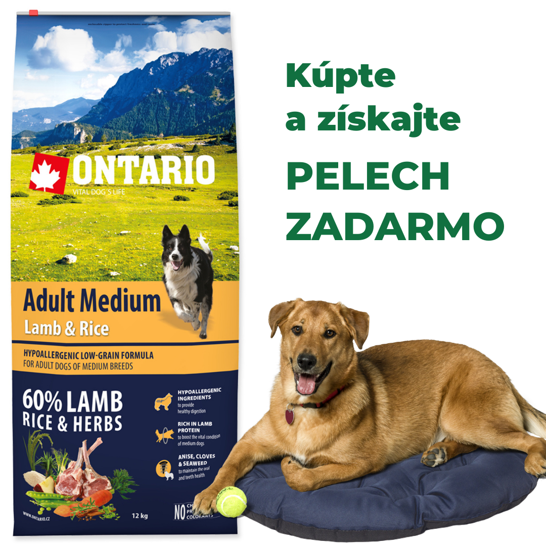 ONTARIO Dog Adult Medium Lamb & Rice 12kg + pelech zadarmo