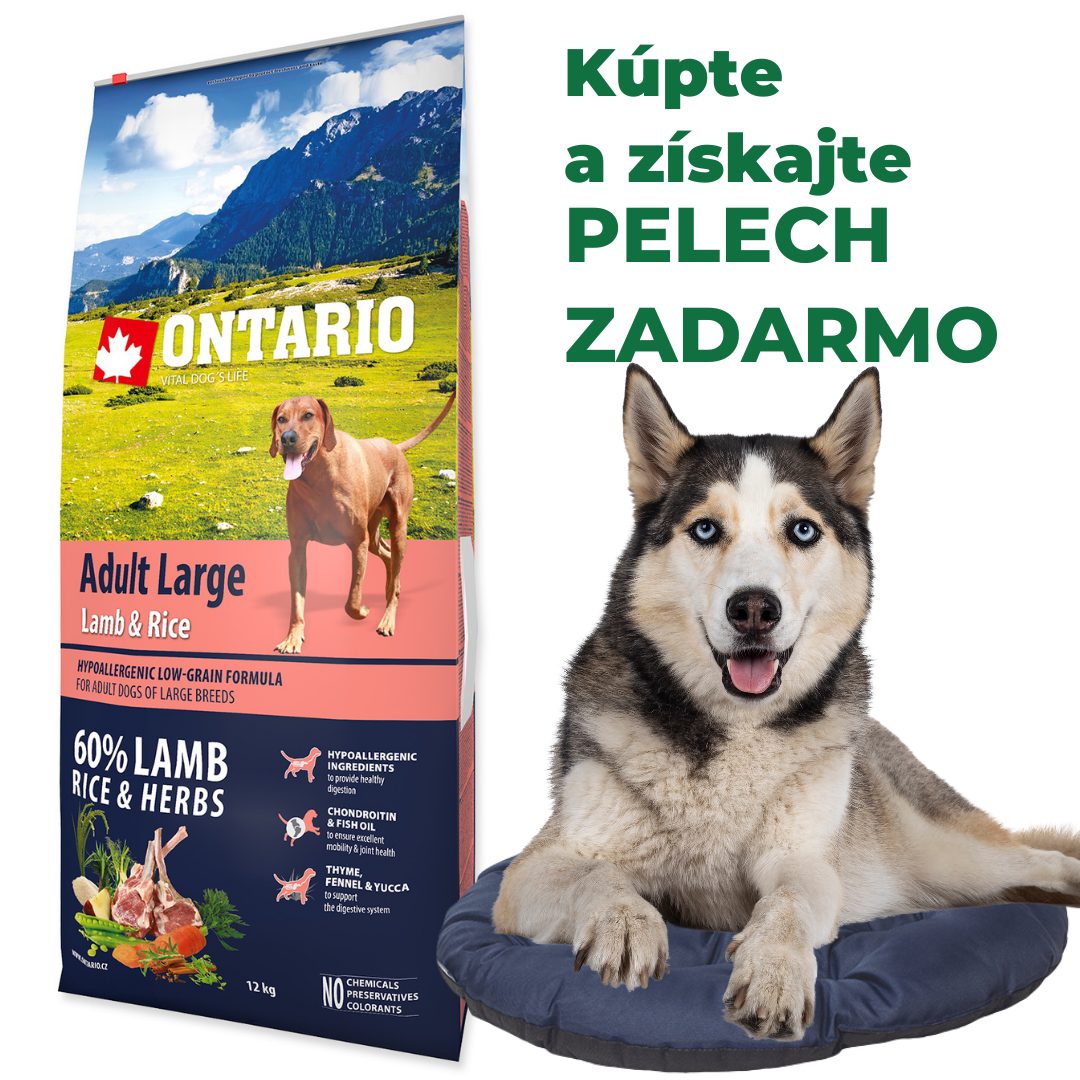 ONTARIO Dog Adult Large Lamb & Rice & Turkey 12kg + pelech zadarmo