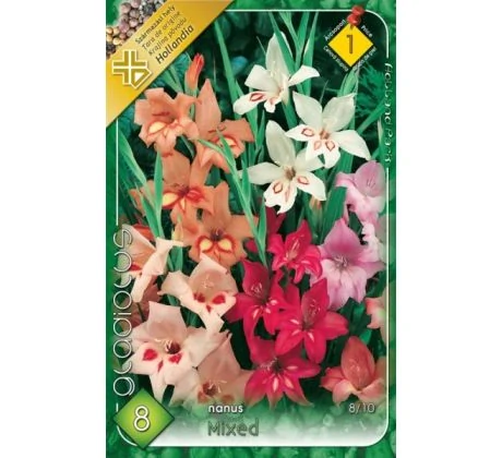 Gladiolus mixed