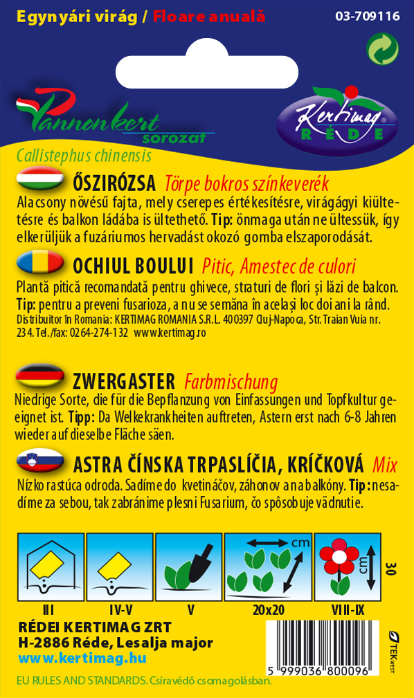 Astra čínska trpasličia kríčková 1g