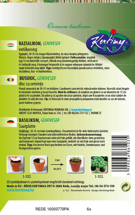 Bazalka Genovese 