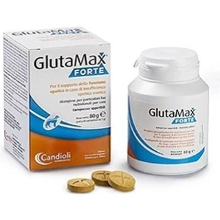 GlutaMax Forte 40 tbl.