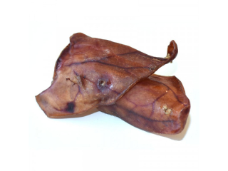 Kosť ucho 1ks