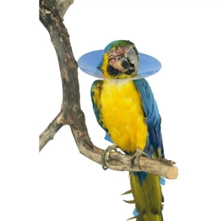 Golier ochranný Buster pre vtáky 10 cm