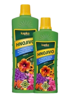 Kapka Izbové kvitnúce
